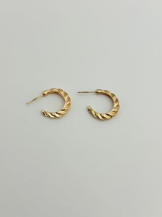 Queen Medusa Chain Pattern Golden Earrings