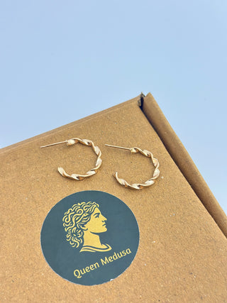 Queen Pattern Medusa Golden Earrings.