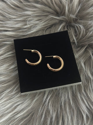 Queen Medusa Golden Earrings